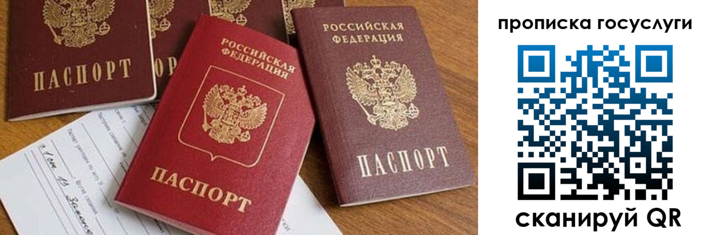 прописка ребенка в Московской области