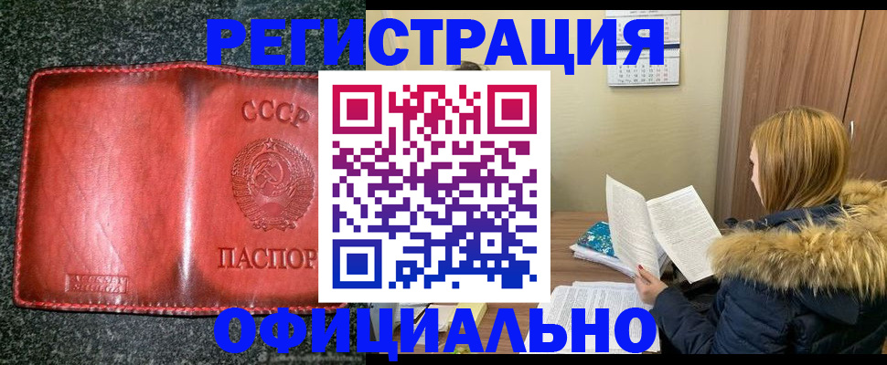 временная регистрация собственник в Московской области